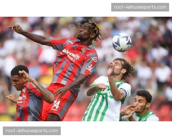 布迪米尔年龄偏大状态存疑 奥萨苏纳进攻端需寻备选