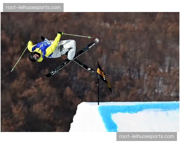 自由式滑雪男子大跳台挪威夺金 动作难度与完成质量平衡策略